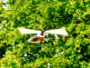 logo20-flug2-gross.jpg (80925 Byte)